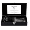 Stainless Steel Spoons (Set of 6) | Laguiole Luxury Line