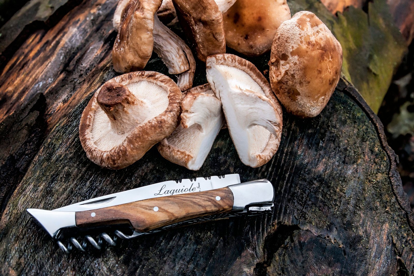 ZakmKurkOlijf_SF (8) Olive Pocket Knive with Corkscrew | Laguiole Luxury Line